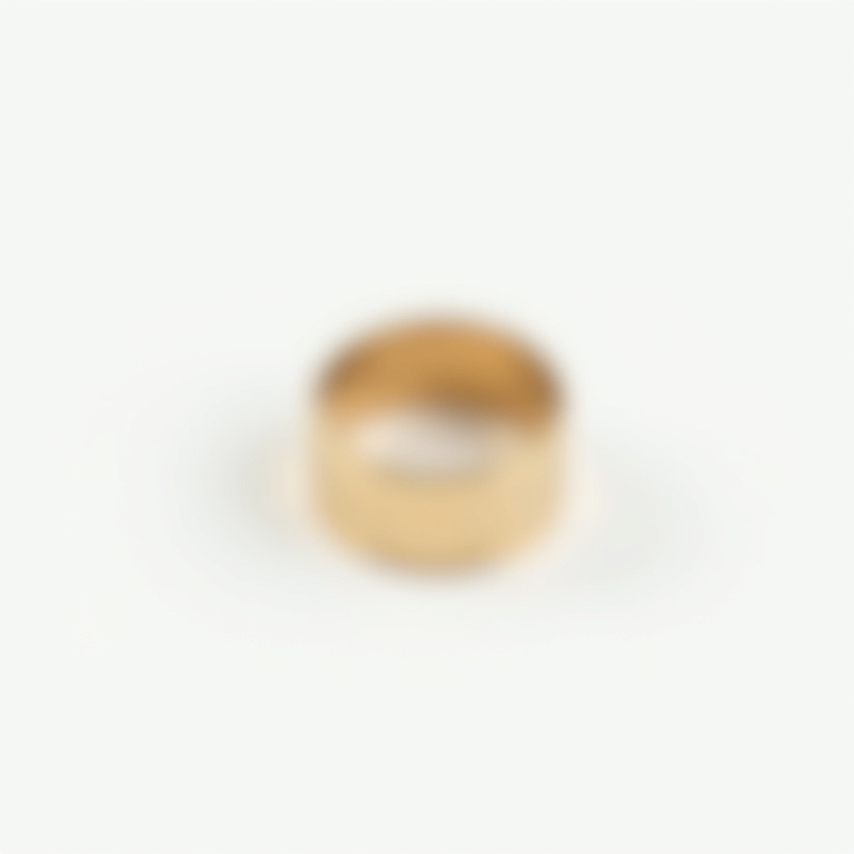 Bague acier inoxydable zirconium